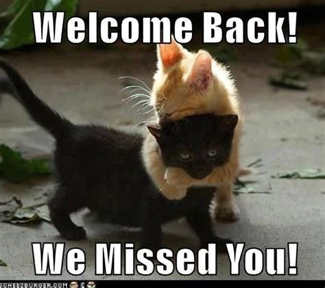 "Welcome Back! We Missed You!" Cat love pictures with captions. cat ...