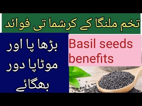 Tukh Malanga K Faiday In Urdu Hindi Benefits Of Basil Seeds In Urdu