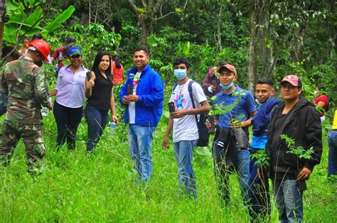 Campa A Nacional De Reforestaci N Verde Que Te Quiero Verde