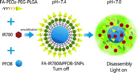 Schematic Illustration Of The Acid Responsive Nanoparticles