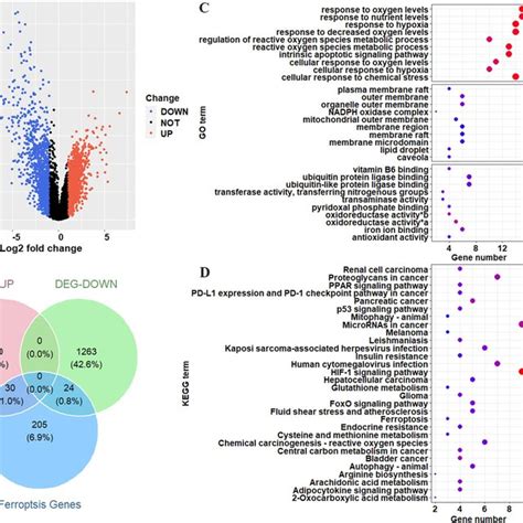 Identification And Enrichment Analysis Of Ferroptosis Genes For Ccrcc Download Scientific