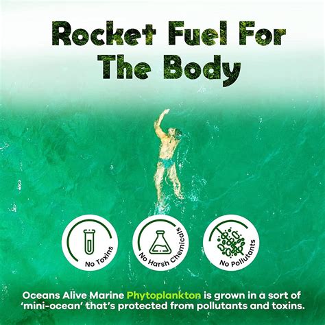 Activation Products Oceans Alive Marine Phytoplankton Brain Supplement