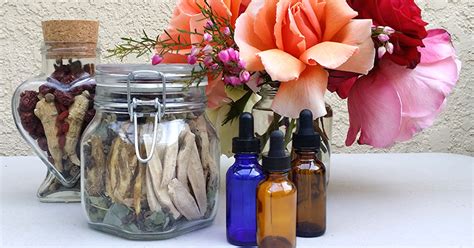 How To Make Herbal Tinctures Herbalshop