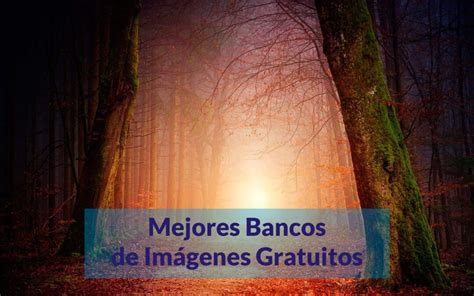 Mejores Bancos De Im Genes Gratis Desinv Desarrollo Web Y Marketing