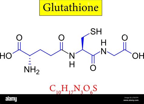 Glutathione Structure Formula Vector Illustration Stock Vector Image