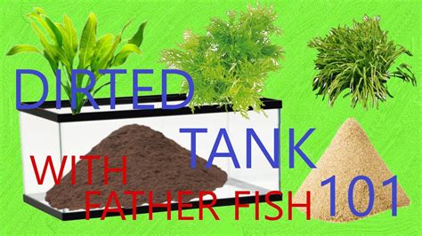 Dirted Tank With Father Fish Youtube