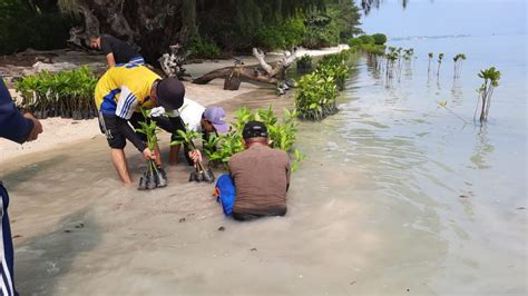 Peringati Hari Maritim Nasional Mangrove Jakarta Wujudkan