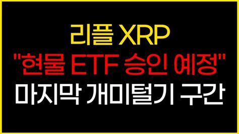 0204일 오후 속보 리플 나무만 보지 말고 숲을 Xrp 현물 Etf 승인 예정 리플코인 리플코인전망 리플급등