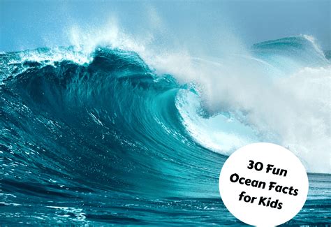 30 Fun Ocean Facts For Kids - Teaching Expertise