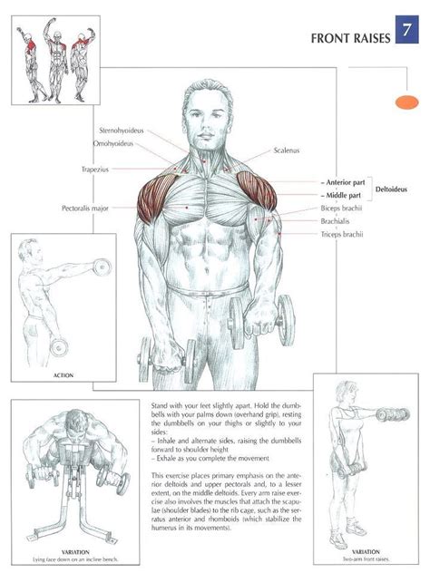 16 best Tricep Exercises images on Pinterest