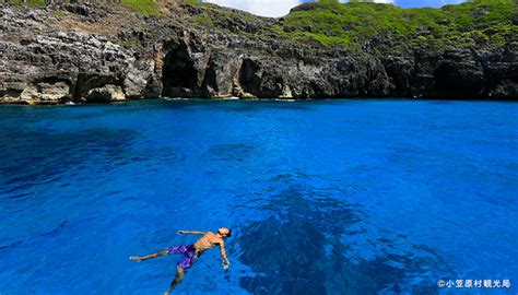 ボニンブルー 【go To Travel対象】世界遺産 小笠原諸島ツアー・旅行（父島・母島）｜トラベルロード