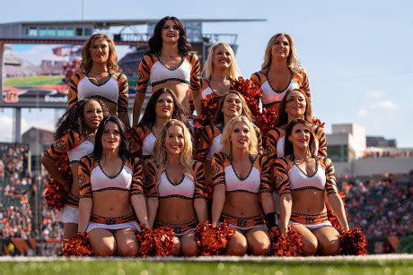 1,000 Bengals cheerleaders Stock Pictures, Editorial Images and Stock Photos | Shutterstock