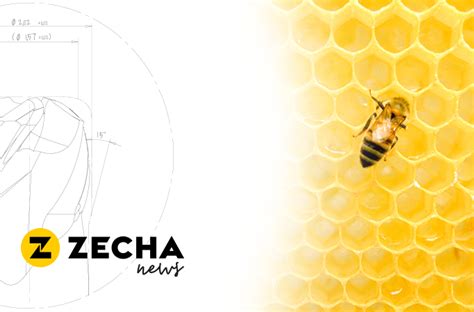 World Bee Day Page Zecha Precision Microtools