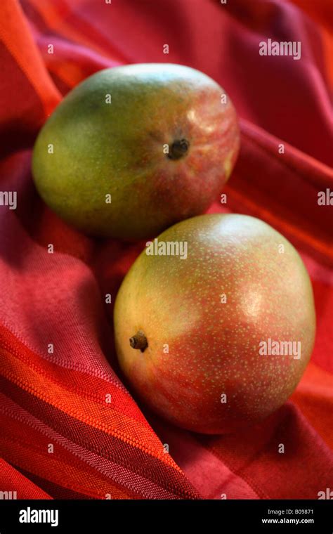 Mangoes Photo Hi Res Stock Photography And Images Alamy