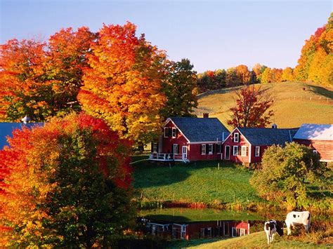 Autumn In Vermont New England Vermont Farms Fall Background Country