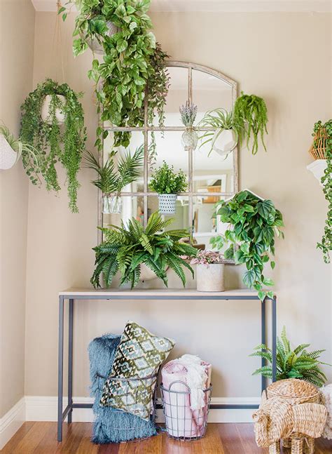 Inspired By This A DIY Living Plant Wall Installation