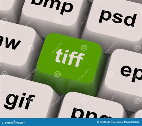 Tiff Format Stock Photos - Download 11 Royalty Free Photos