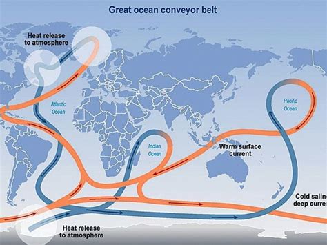 OCEAN CURRENTS Diagram | Quizlet