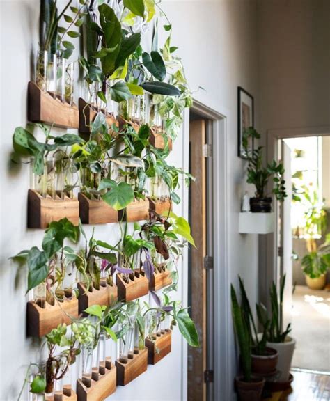 41 Awesome Plant Wall Ideas & How to Build a DIY Plant Wall