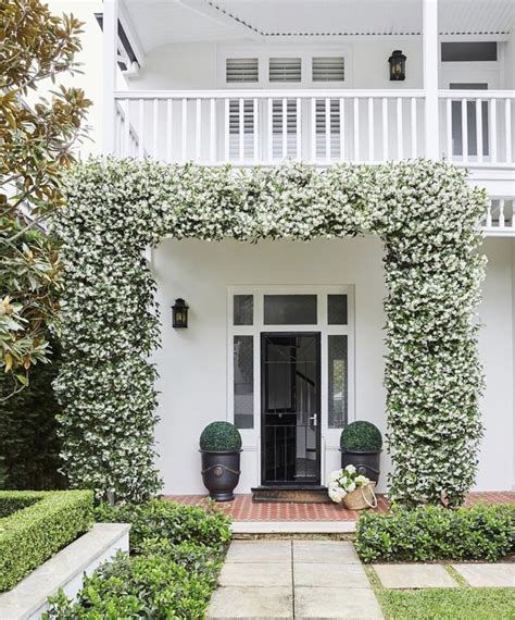 The Front Entrance To Shades Of Pale With Potted Plants On Either Side