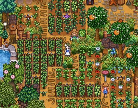 Stardew Valley Year Tips And Layout