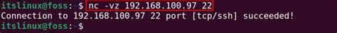 How to Ping a Specific Port? – Its Linux FOSS