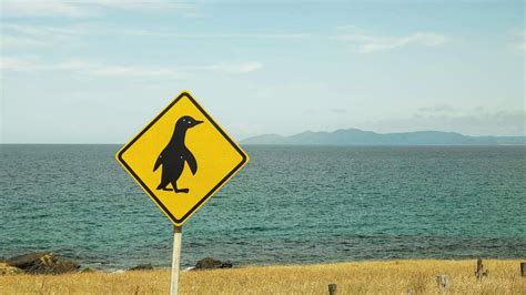 Lame But Legendary Attractions to Visit on Your Next Road Trip