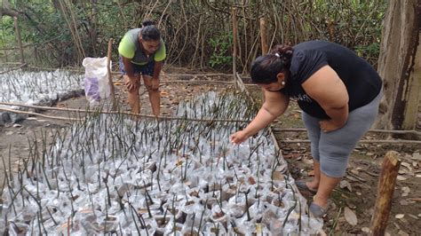 Organización De Mujeres Aporta A La Conservación De La Biodiversidad Costarricense Y Reforesta