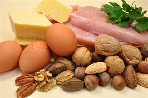 The Advantages of Eating the Right Protein for Liver Health