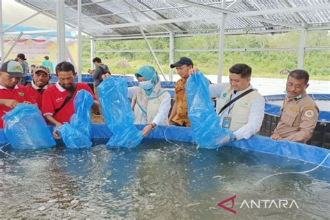 Warga Palembang Berburu Ikan Betok Saat Ngabuburit Gurih Nikmat