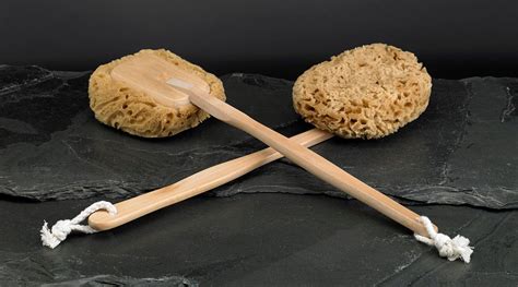 Natural Sea Wool Sponge On A Stick The Grecian Soap Co Sponge