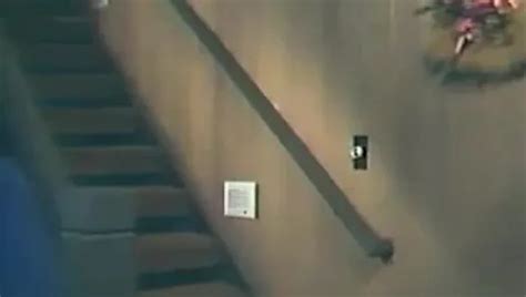 Free Zebra Porn Videos XHamster