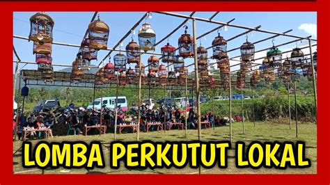 Lomba Perkutut Lokal Di Windusari Magelang Lombaperkutut Youtube