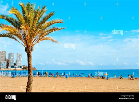 Benidorm Strand Levante Meer Menschen Fotos Und Bildmaterial In Hoher