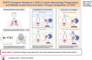 EGFR Oncogenic Mutations In NSCLC Impair Macrophage Phagocytosis And