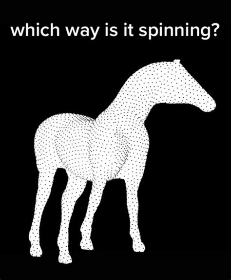 Internet Divided Over Baffling Horse Illusion
