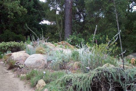 Santa Barbara Botanical Gardens Map Fasci Garden