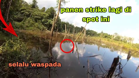 Rejeki Dapat Banyak Ikan Di Sini Karena Spot Yang Mulai Surut Dan