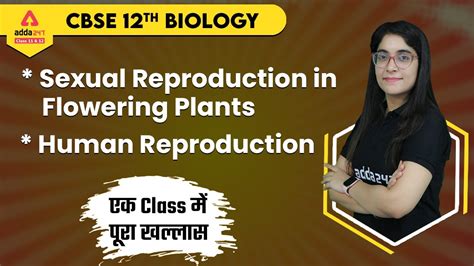 Sexual Reproduction In Flowering Plants Class One Shot Human