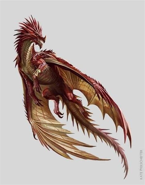 Pin By Carlos Andrade P Chopper On Dragones Dragon Pictures Dragon