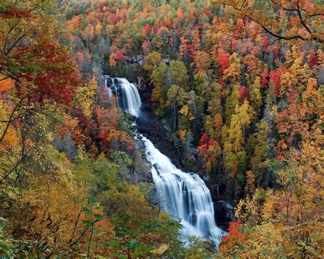 fall north carolina   love  wanderlust