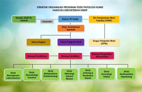 Pimpinan Prodi Prodi Patologi Klinik