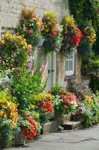 Top Super Hanging Flower Basket Ideas Julia Palosini Hanging Garden