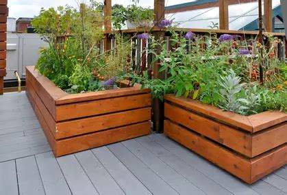 Balcony Gardening with Containers - Enjoy Container Gardening