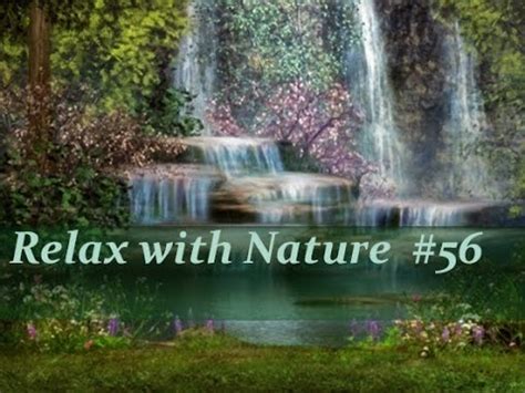 1 Hour New Age Music Relaxing Music With Nature Sounds Ambient Music