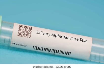 8 Salivary Amylase Test Images, Stock Photos, 3D objects, & Vectors | Shutterstock