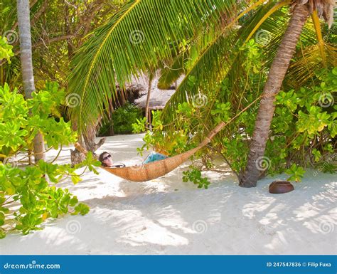 Under The Palms Stock Photo Image Of Nature Hammock 247547836