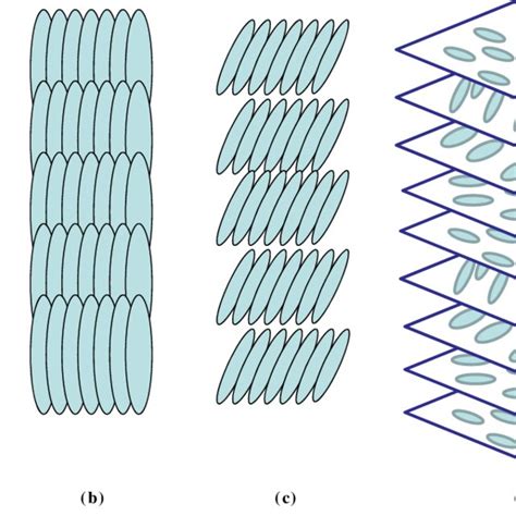 Schematic Representation Of Different Liquid Crystal Lc Phases A