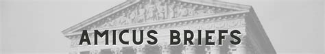 Amicus Briefs — Second Amendment Law Center