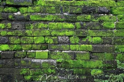 Mossy Cobblestone Wall